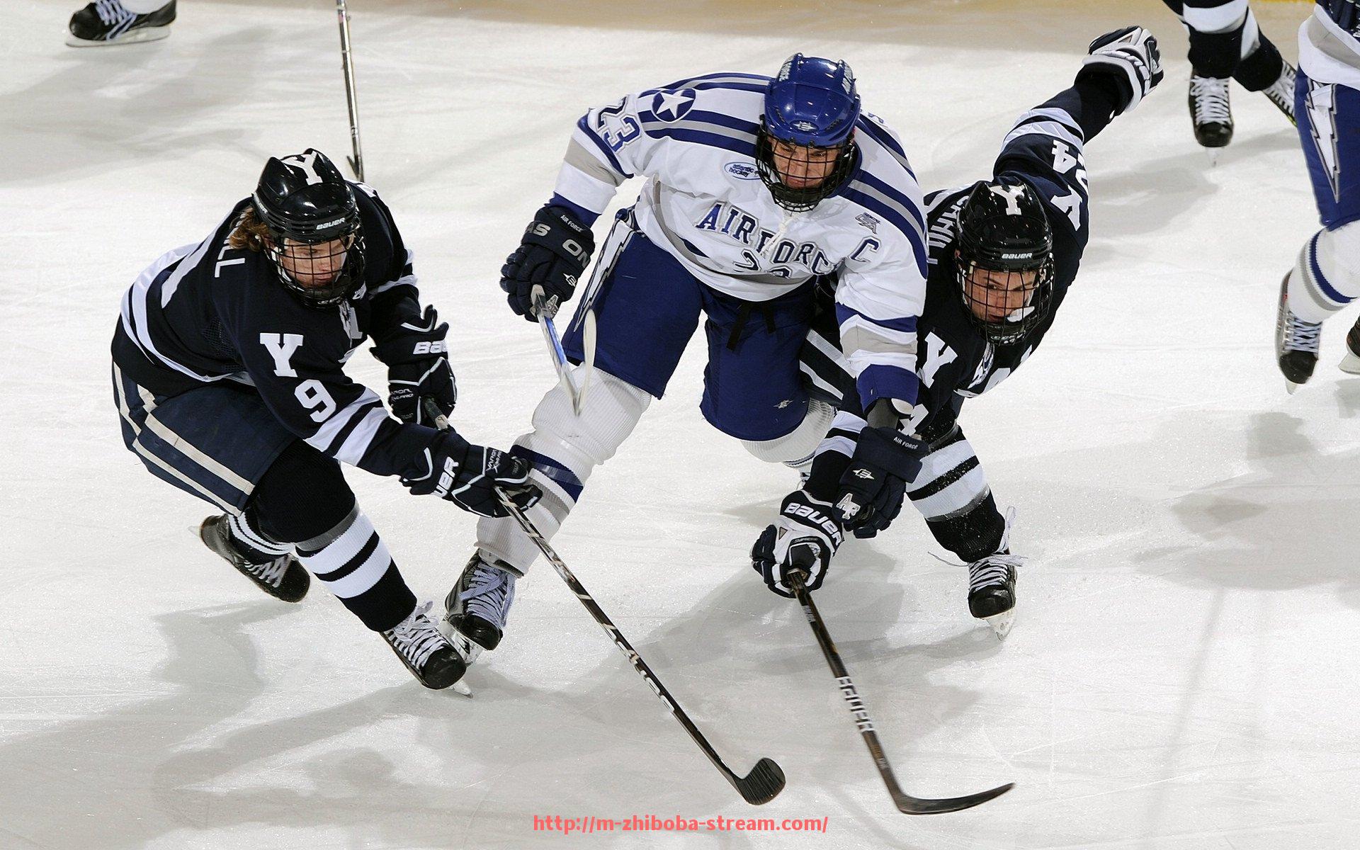 直播吧-健身房如何批量采购健身器材？流程与建议